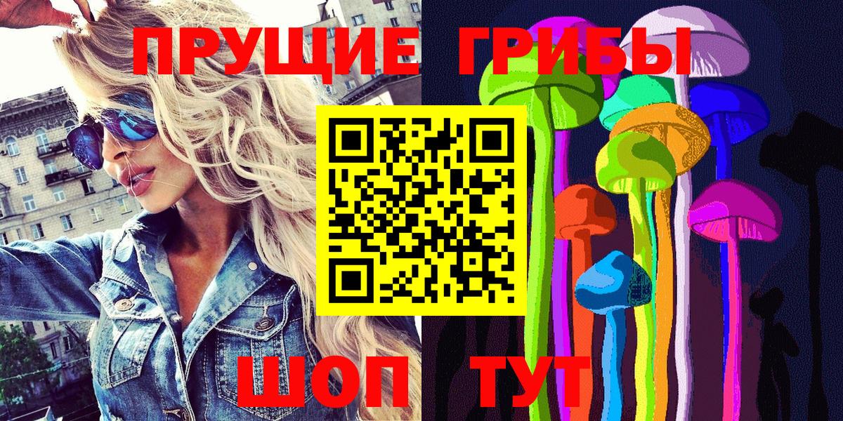 Псилоцибиновые грибы мицелий Сунжа