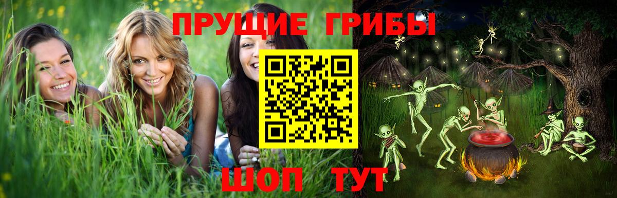 Галлюциногенные грибы мицелий  Вход с VPN  как найти закладки  Галлюциногенные грибы прущие грибы  Сунжа 