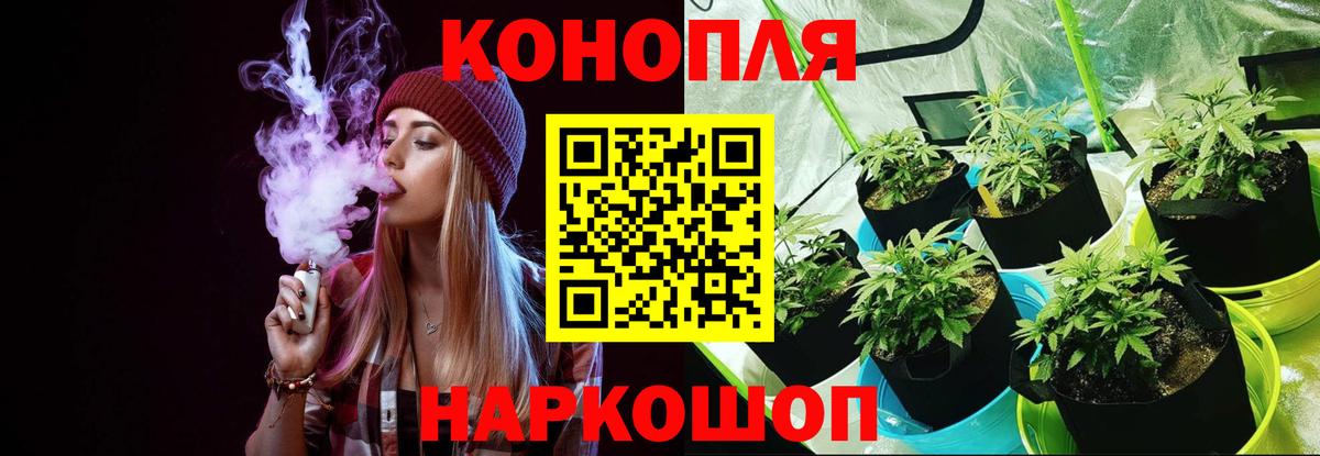 Конопля VHQ  Бошки Шишки LSD WEED  Сунжа  Канабис VHQ  Вход с VPN 
